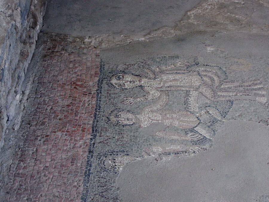 Fragment of mosaic floor at Garni Roman bath, with marine motifs