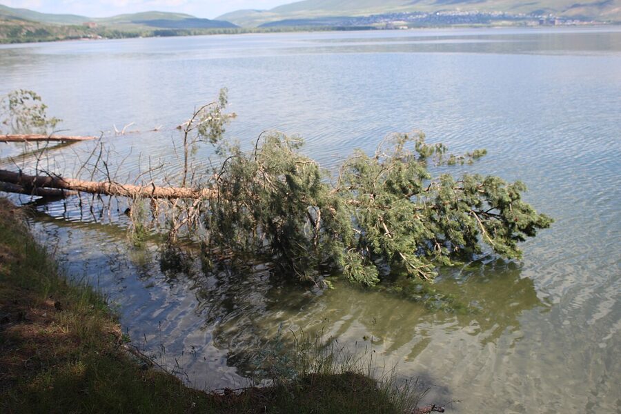View along the Lake Sevan shoreline in summer with the lake stretching toward distant mountains
